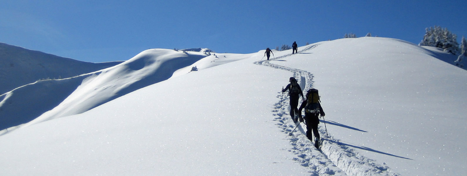wander, Skifahren, Schneeschuhwanderung, Golf, Bregenzerwald